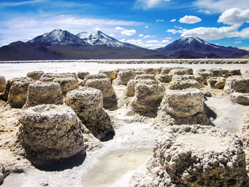 REACCIONES ANTE DEMANDA DEL CDE CONTRA QUIBORAX POR DAÑO AMBIENTAL EN EL SALAR DE SURIRE