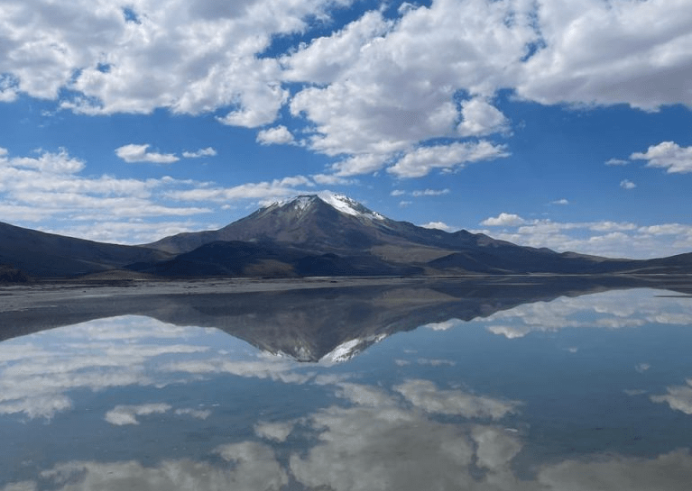 CONSEJO DE DEFENSA DEL ESTADO PRESENTA DEMANDA DE REPARACIÓN POR GRAVE DAÑO AMBIENTAL PROVOCADO AL SALAR DE SURIRE