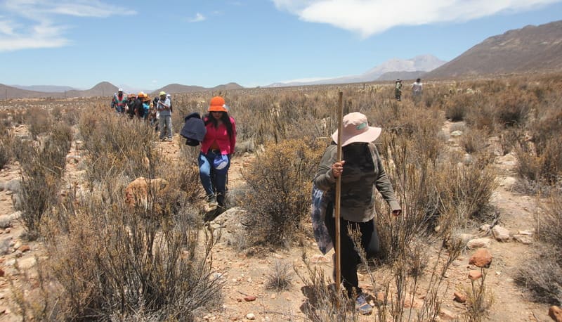 COMUNIDAD DE ZAPAHUIRA RECORRIÓ TRAMO DEL CAMINO DEL INCA